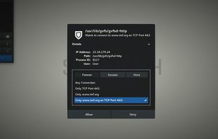 Advanced proxy settings