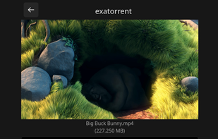 exatorrent screenshot 3