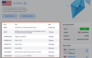 Input the number where you need to register and Wait for the reply to pop up on our website under the number you’ve chosen to use.