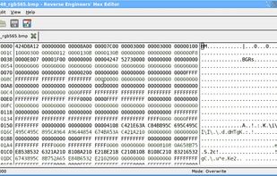 REHex screenshot 1