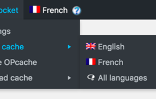 WP Rocket screenshot 1