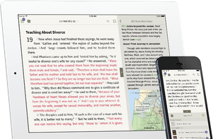 Bible by Olive Tree screenshot 3