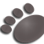 Panther Media Converter icon