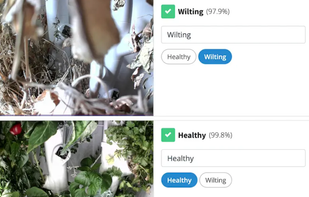 Classify images in mins