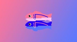 Glitch to shut down web app hosting by July 2025, introduces project URL redirects image