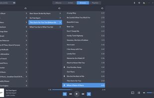 Sublime Music screenshot 2