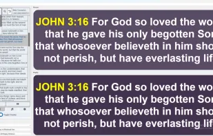 A full screenshot of Bible Display Software. 