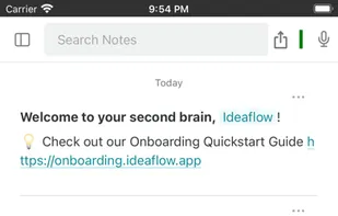 Ideaflow screenshot 1