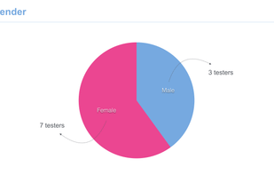 The report shows demographic data on the testers such as their gender.