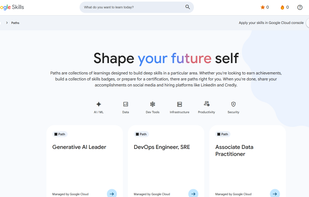 Google Skills screenshot 2