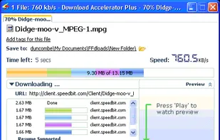 Download Accelerator Plus screenshot 1