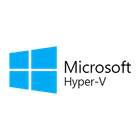 Microsoft Hyper-V Server icon