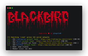 Blackbird OSINT screenshot 1