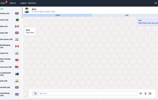 main chat interface