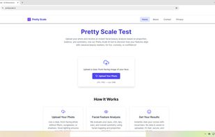 Pretty Scale screenshot 1
