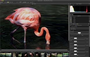 Capture NX-D screenshot 1