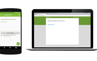 Text Mirror screenshot 1