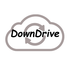 DownDrive icon