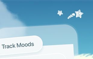 Mood Chonk: Self-Care Journal screenshot 1