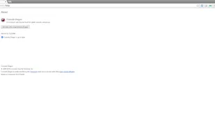 Comodo Dragon Internet Browser screenshot 2