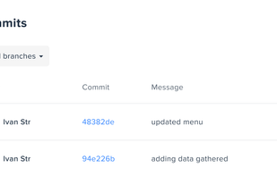 Hostman screenshot 3