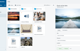 CMS assets view in SilverStripe 4