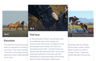 Marquiz screenshot 2