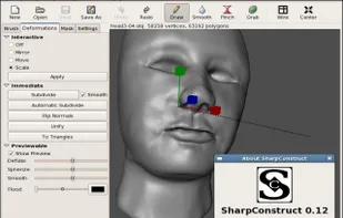 an example of a simple human head being sculpted.