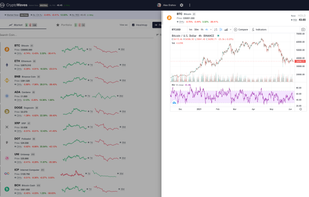 CryptoWaves.app is an RSI (Relative Strength Index) based crypto market alerts service - TradingView price charts integration