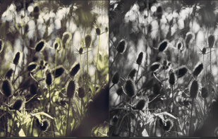 TwinPixels screenshot 3