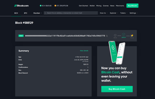 Bitcoin.com Explorer screenshot 3