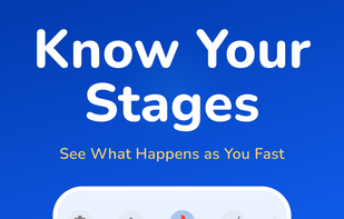 Easy Fast screenshot 3