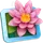 LilyView icon