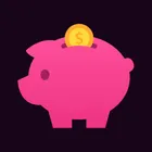 Today's Budget icon