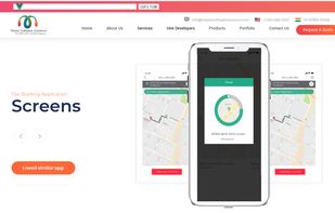 Master Software Solutions screenshot 1