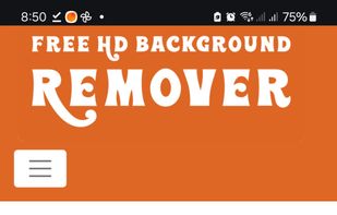 Home page, you can pick the image to remove background