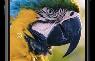 Cone Color Picker & Identifier screenshot 1