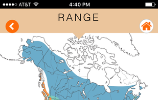 Raptor ID screenshot 1