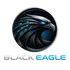 BlackEagleAI icon