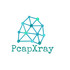 PcapXray icon