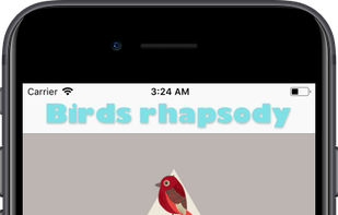 Birds rhapsody CreativeBot screenshot 1