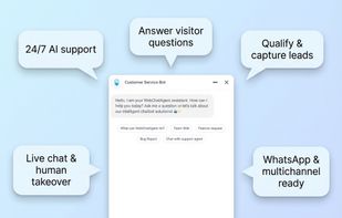 WebChatAgent screenshot 1