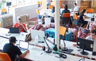 Boxne Network Solutions screenshot 1