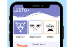 Pride Mantra : LGBT Counseling screenshot 2