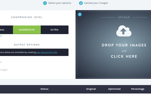 Drag and drop images into online form.