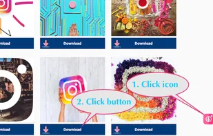 download Instagram videos