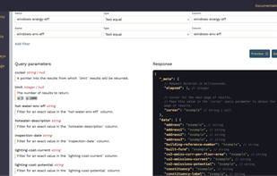 API preview and filter configuration