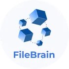 FileBrain Pro icon