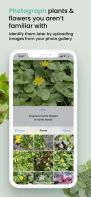 Plant ID Match screenshot 3