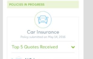 Insuranks screenshot 2